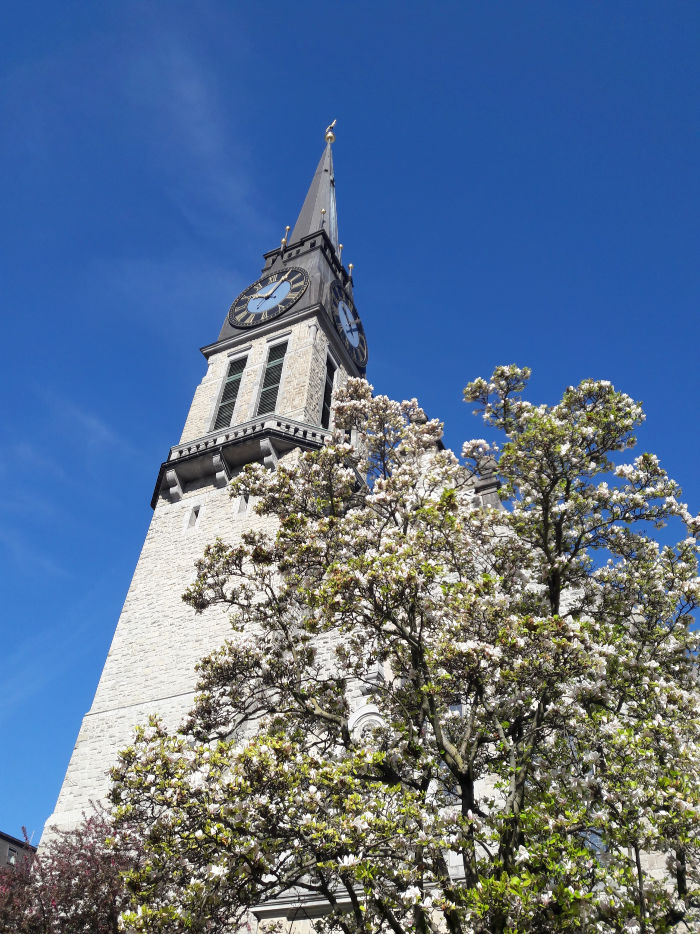 Citykirche mit Magnolien