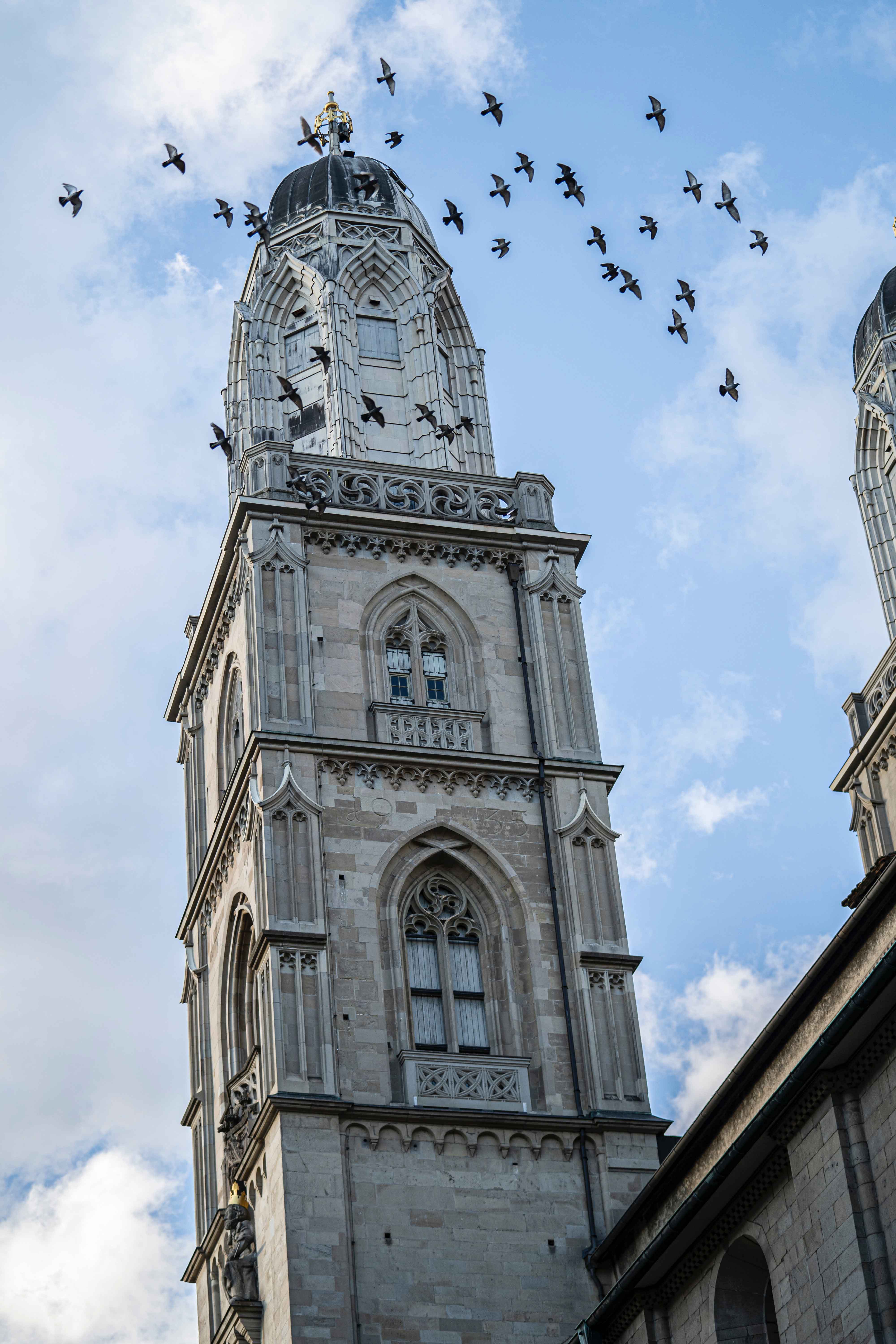 Ein Schwarm Tauben fliegt um den Grossmünster Kirchturm